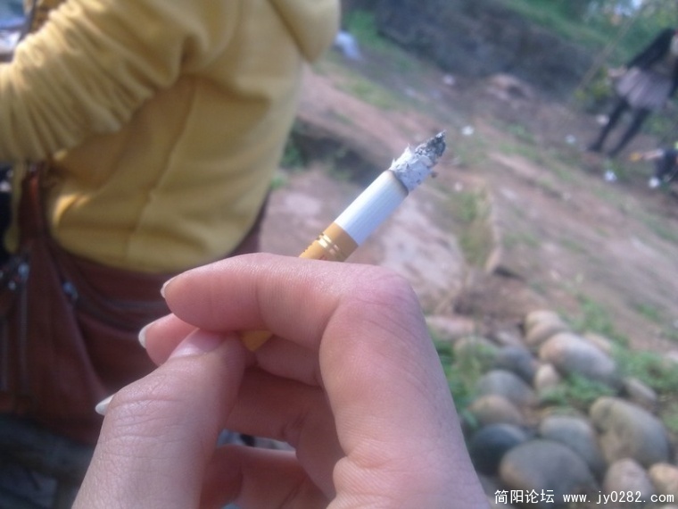 20110410255.jpg