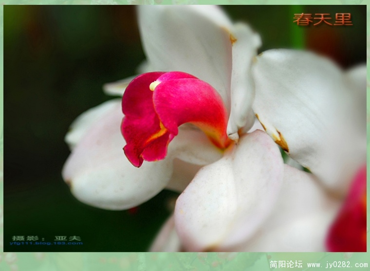 春天里（三）——04副本.jpg