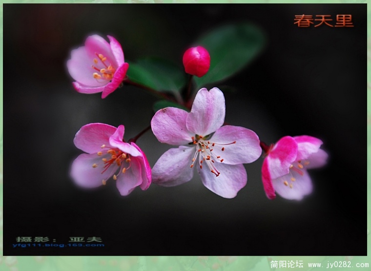 春天里（三）——03.jpg
