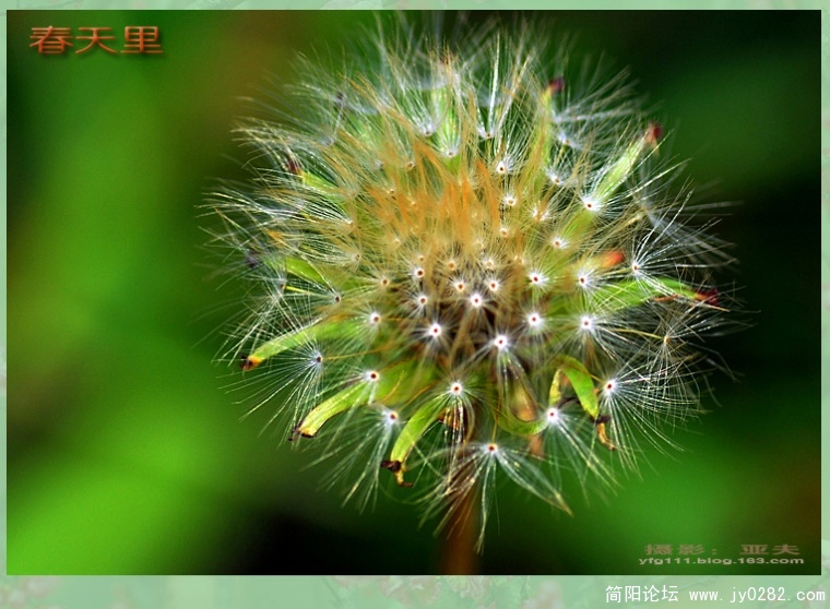 春天里（三）——14副本.jpg