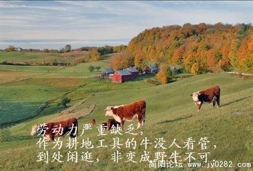 abbr_06f7504a4d831ec6cb800bf1ab9ea7ea.jpg