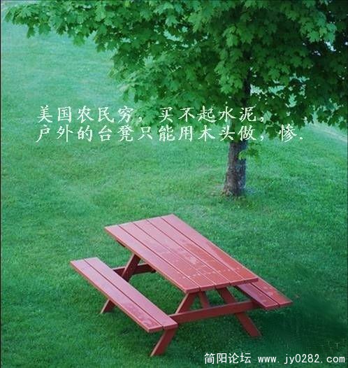 美国农民穷，买不起水泥，户外的台凳只能用木头做，惨.jpg