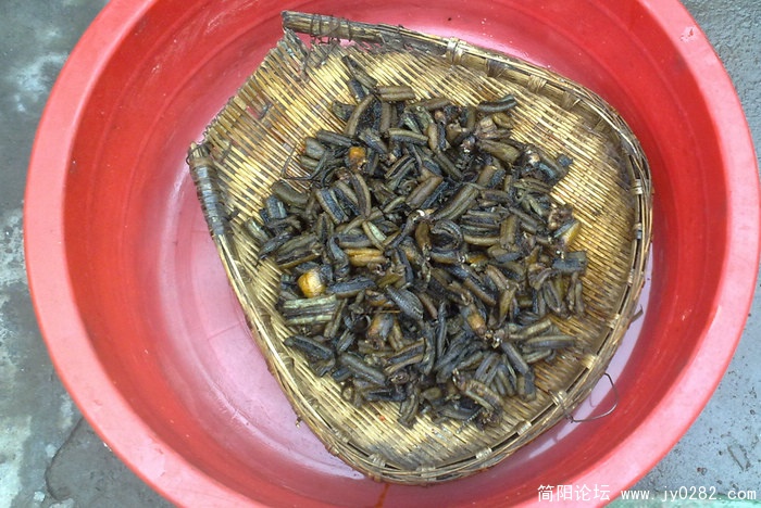 201104129549.jpg