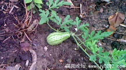 RK000124.JPG