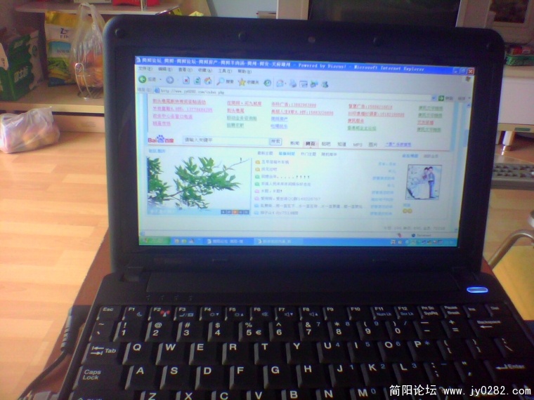 IMG0409A.jpg