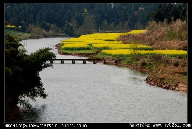 家乡好.jpg