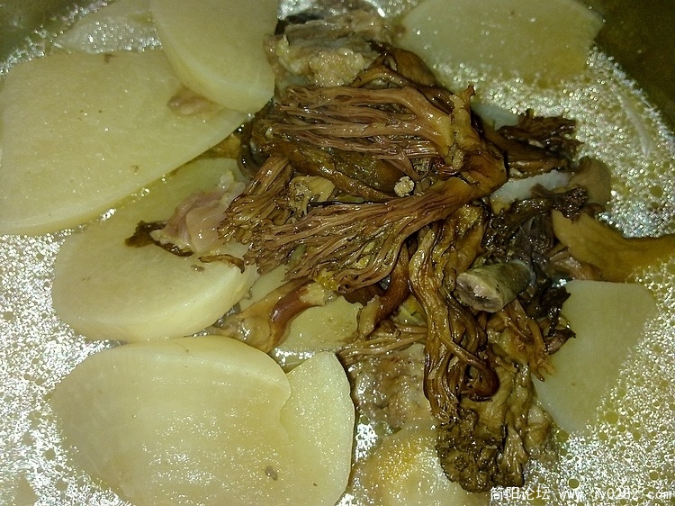 20110416609.jpg