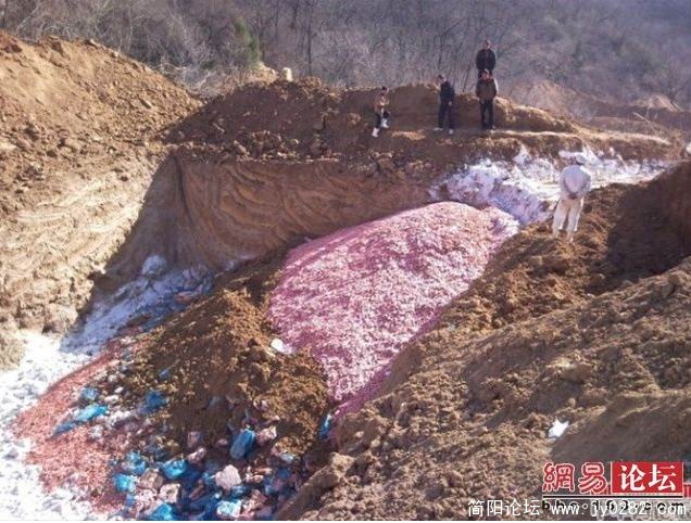 搜狗截图_2011-04-17_11-23-43.jpg