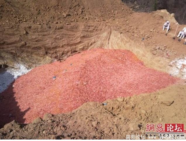 搜狗截图_2011-04-17_11-23-30.jpg