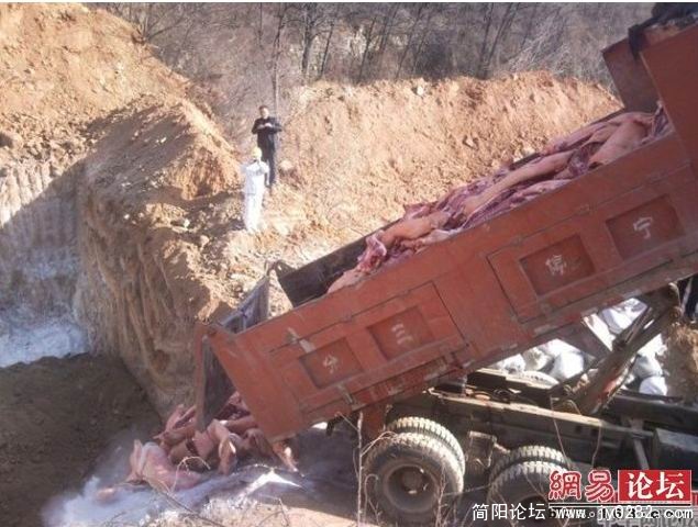 搜狗截图_2011-04-17_11-22-33.jpg