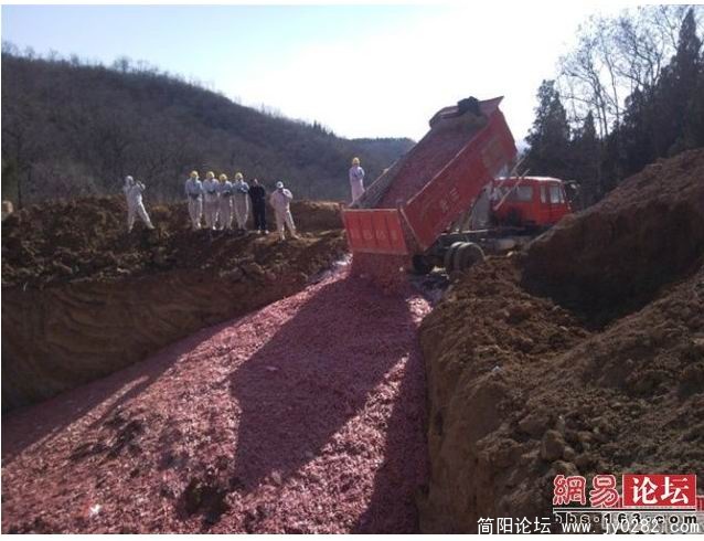 搜狗截图_2011-04-17_11-24-28.jpg