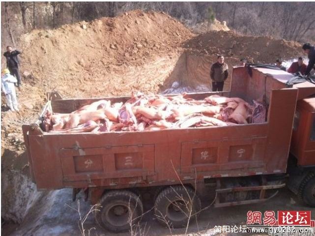 搜狗截图_2011-04-17_11-25-00.jpg