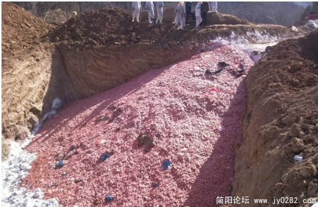 搜狗截图_2011-04-17_11-26-57.jpg