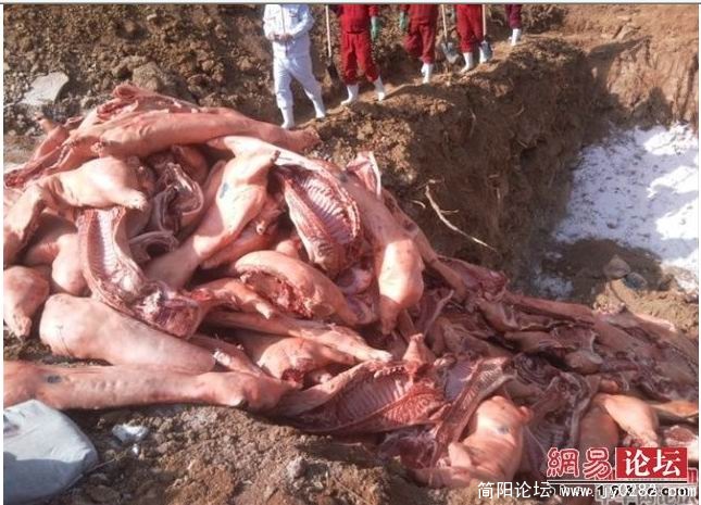 搜狗截图_2011-04-17_11-25-43.jpg