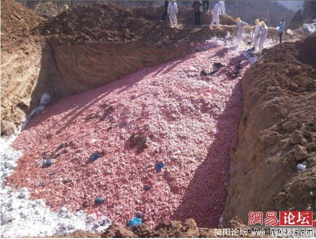 搜狗截图_2011-04-17_11-26-19.jpg
