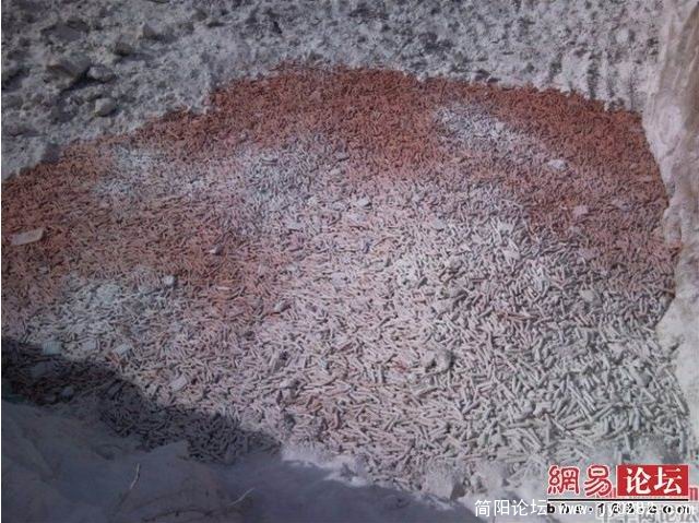 搜狗截图_2011-04-17_11-26-28.jpg