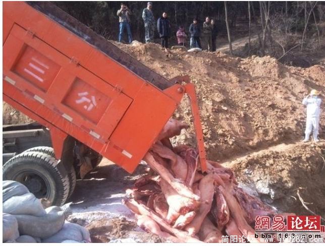 搜狗截图_2011-04-17_11-25-21.jpg