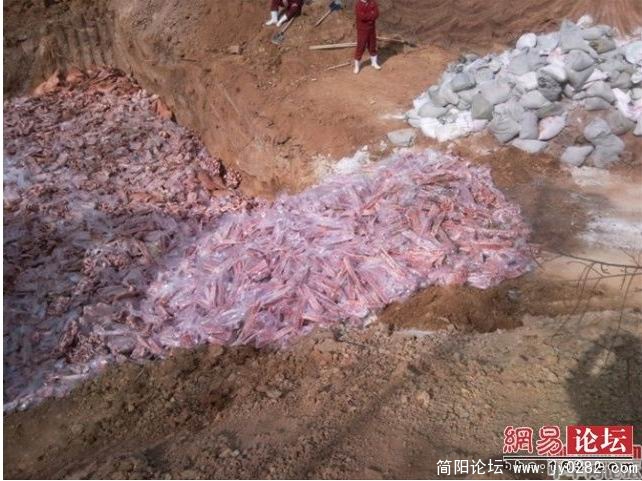 搜狗截图_2011-04-17_11-25-57.jpg