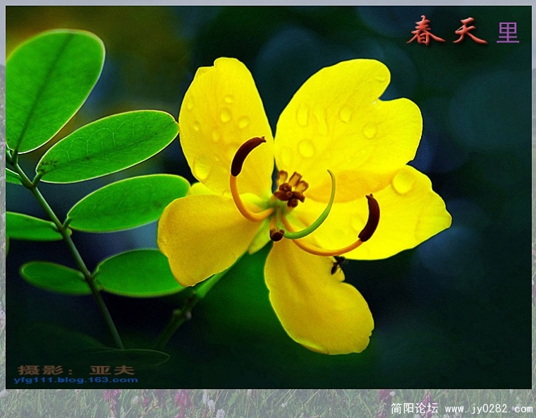 春天里（五）——13副本.jpg