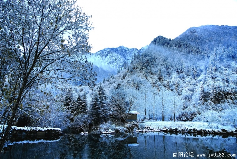 DSC_0702 0副本.jpg