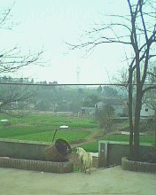 n.jpg