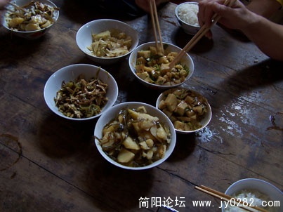 100_81760.jpg