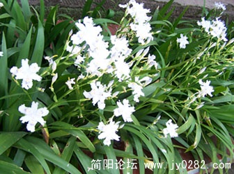 100_81860.jpg