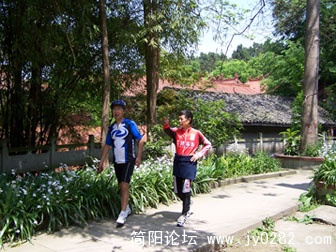 100_81880.jpg