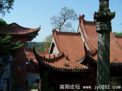 100_81730.jpg