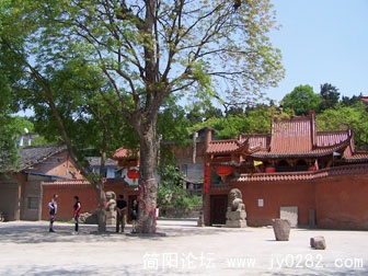 100_82080.jpg