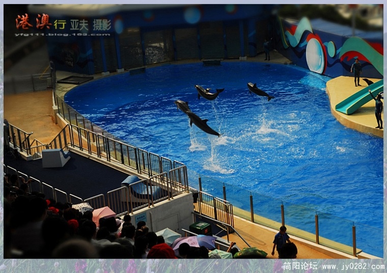 海洋馆——01副本.jpg