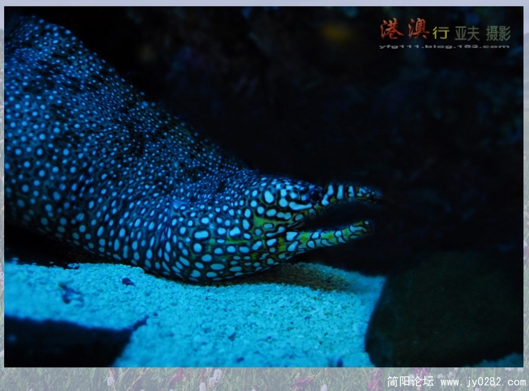 海洋馆——11副本.jpg