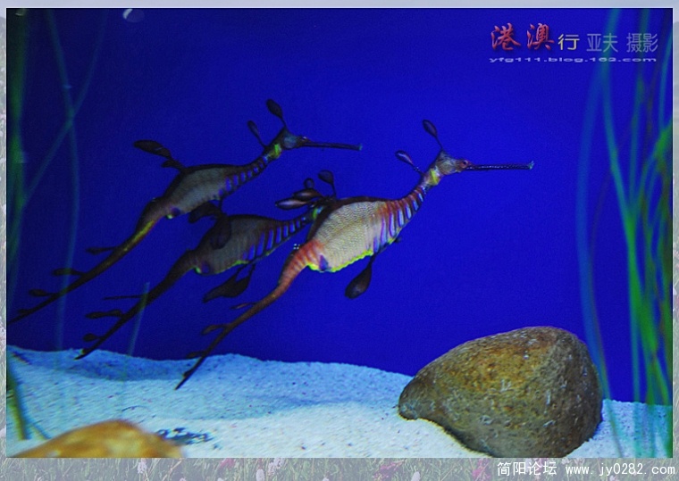 海洋馆——14副本.jpg