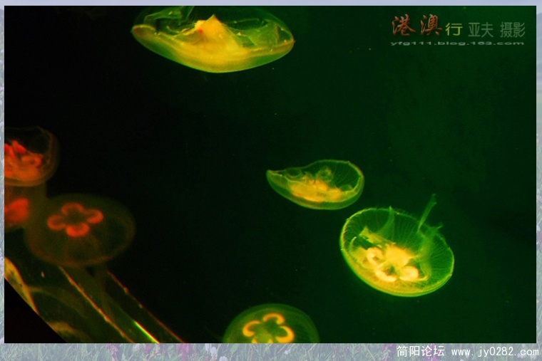海洋馆——13副本.jpg