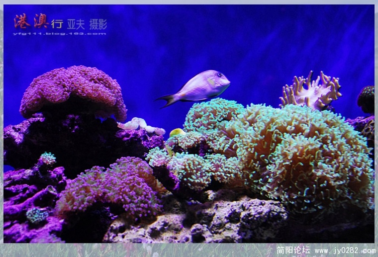 海洋馆——17副本.jpg