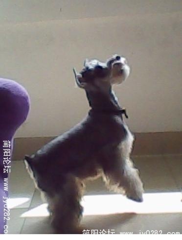 20110426-7.jpg