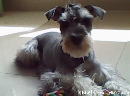 20110426-8.jpg