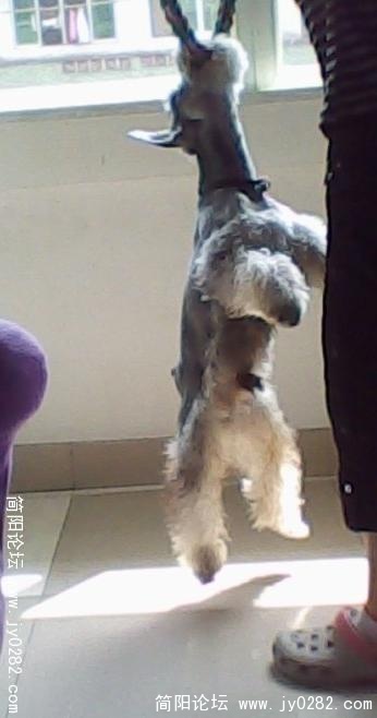 20110426-5.jpg