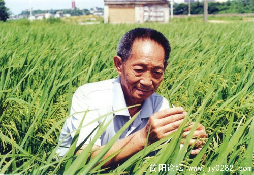 2011042623361144b94.jpg