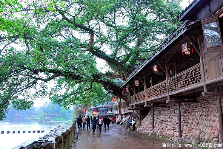 虽是雨天，游客倒也不少.jpg