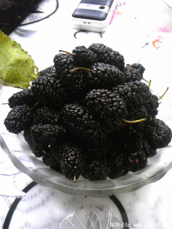 conew_image826.jpg