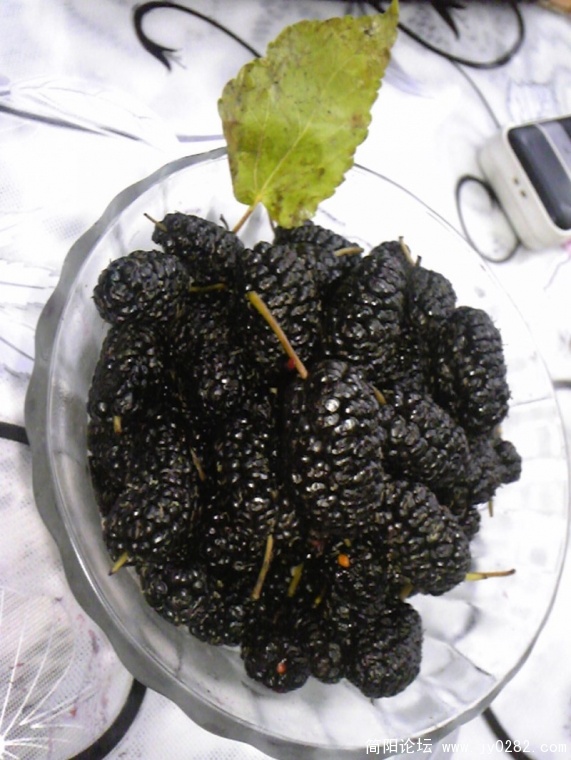 conew_image828.jpg