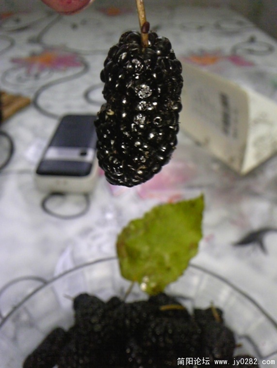conew_image831.jpg