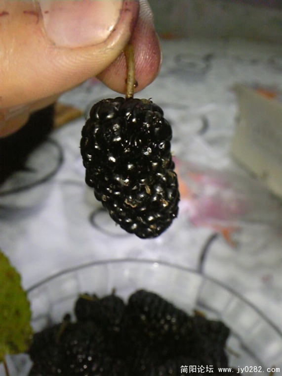 conew_image827.jpg