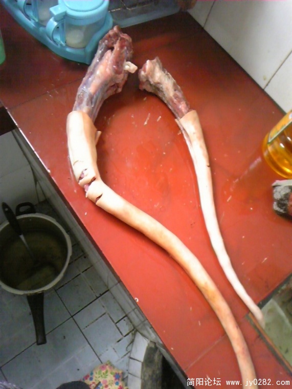 conew_image832.jpg
