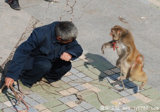 耍猴-1.jpg