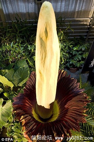 201104250959249305d.jpg