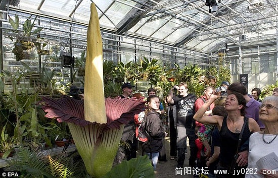 20110425095926f2f9d.jpg