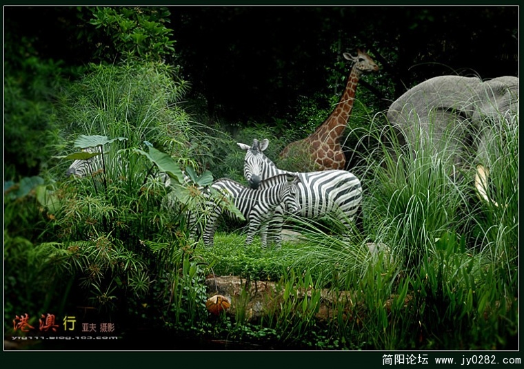 迪斯尼（4）——09副本.jpg