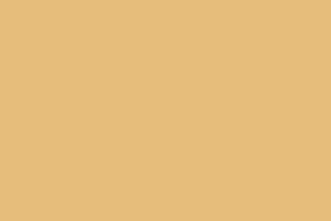 母亲节.gif
